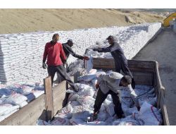 Dar Gelirli Ailelere Kömür Dağıtımı Başladı