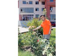 Televizyona Çıkarak İş Buldu, Kısa Sürede Belediyenin Maskotu Oldu (Özel)