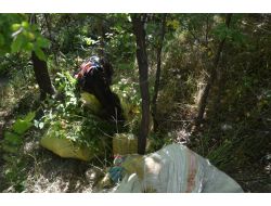 Başkale'de 124 Kilo Esrar Ele Geçirildi