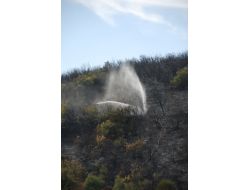 Körfez'de Bir Hektarlık Ormanlık Alan Yandı