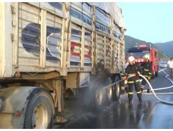 Balata'da Çıkan Yangın 15 Ton Mısırı Ziyan Etti