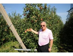 Sammey Samsun'un Çiftçisine Öncülük Yapıyor