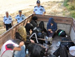 Traktör Römorkunda Gizlenen Kaçakları Polis Yakaladı