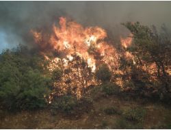 Suriye Sınırından Türkiye’ye Sıçrayan Yangın Kontrol Altında