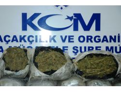 125 Kilo Esrar 60 Bin Kaçak Sigara