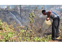 Orman Yangını Lüks Villalara Sıçramadan Söndürüldü