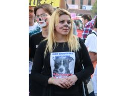 Hayvanseverler 5199 Sayılı Yasa Tasarısı İçin Sokaklara Döküldü