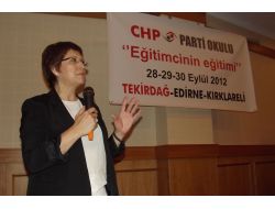 Chp'li Sarı: Büyükşehirin Bütününe Karşı Değiliz