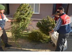 Bursa’da 4 Bin 500 Kilogram Esrar Ele Geçirildi