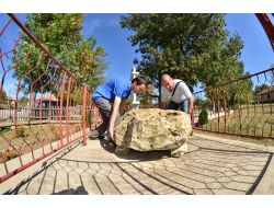 Koca Yusuf’un Köyünde İlk Kez Yağlı Güreş Şöleni Yapıldı