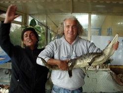 Restoranı Yıkılacak Olan İşletmeci 'tayyip' İsimli Timsahı Satılığa Çıkardı