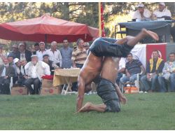 Alaca Başpehlivanlara Ev Sahipliği Yaptı