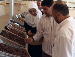 Türk Hacılar Hurma Alışverişi Yapıyor