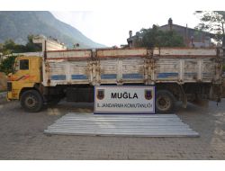 Karayolu Fareleri Ormanlık Alanda Yakalandı