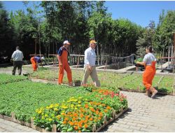 'Serada Yeşeren Umutlar' Projesi Ödüllendirildi