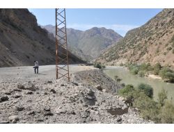 Kirpi, Hakkari'de Faciayı Önledi