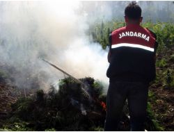 ESRAR TARLALARINA OPERASYON