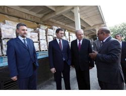 Romanya'dan Moldova'ya 360 Ton Kitap Bağışı