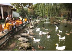 Çocuklara Hayvan Sevgisi Aşılanıyor