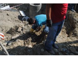 Hakkari’de İnşaat Alanında Kemik Ve Mezar Taşları Bulundu