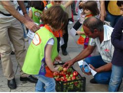 Obeziteyle Mücadele İçin Önce Yürüdüler Sonra Elma Yediler