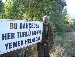 Meyve Bahçesini Halkın Hizmetine Açtı