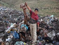 Türk Hava Kurumu'nun Kurban Derilerinin Bir Kısmını Çöpe Attığı İddia Edildi