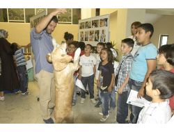 Çocuklar, Bir Projeyle Hayvan Dostu Oldu