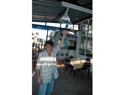 Karadeniz Usulü Sineksavar