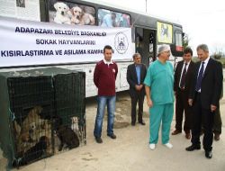 Belediye Sokak Köpeklerini Kısırlaştırmak İçin Mobil Araç Tahsis Etti
