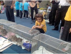 Öğrenciler'den Barınak Hayvanlarına Büyük İlgi