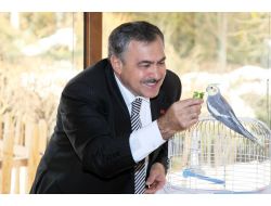 Hayvanlara Kötü Muamele Yapanlara Hapis Cezası Getirecek Tasarı Meclis'te