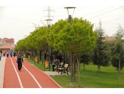 Mamak'ta Kişi Başına Düşen Yeşil Alan Miktarı 8,5 Metrekareye Ulaştı