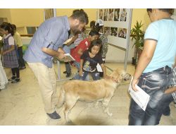 Yıldırım Belediyesi'nden Sahipsiz Hayvanlar İçin Tedavi Merkezi