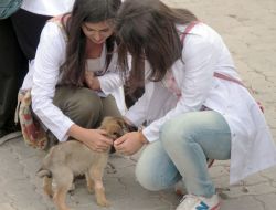 Üniversite Öğrencileri Hayvan Barınağını Ziyaret Etti