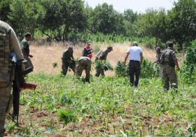 Büyük Uyuşturucu Operasyonu