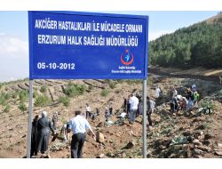 Erzurum'da Akciğer Hastalıklarına Dikkat Çekmek İçin Orman Oluşturuldu