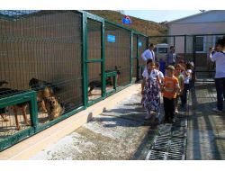 Anaokulu Öğrencileri Sahipsiz Hayvanları Ziyaret Etti