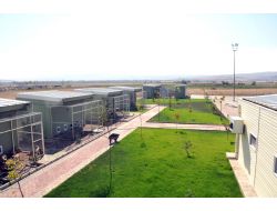 Eroğlu, Afyon'da Hayvan Barınağını Açtı, Kedi Evleri Projesini Başlattı