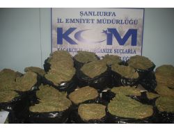 Şanlıurfa'da Yarım Ton Esrar Ele Geçirildi