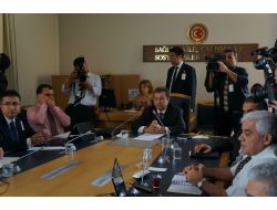 Darbeleri Araştırma Komisyonu, Karamehmet'i Dinliyor