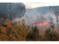 Muğla'da 10 Dönüm Çalılık Yandı