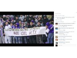 Yıllık 4 Ton Fındık Bize Gel Aleks