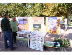 Suların Çekilmesi Burdur Gölü'nde Kuş Çeşitliliğini Olumsuz Etkiledi
