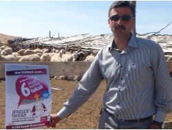 Mandıra Sahibi Kurbanlıkları Kredi Kartına 6 Taksitte Satıyor