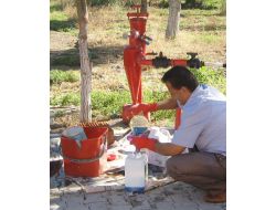 Havran'da Zeytin Sineğiyle İlaçlı Mücadele Başladı