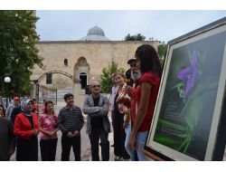 'Kozan Kalesi Çiçekleri Ve Karacaoğlan' Fotoğraf Sergisi Açıldı