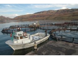 Baraj Gölünde Kurduğu Kafeste Alabalık Üretimi Yapıyor