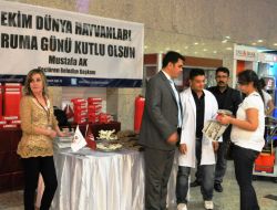 Keçiören'de Hayvanseverlere Belediyeden Yardım