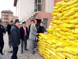 Afyonkarahisar'da Kaçak Kömür Satışının Önlenmesi Amacıyla Denetimler Sıklaştırıldı